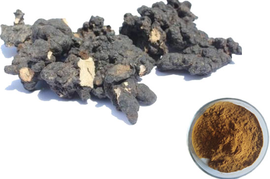 Polyporus Umbellatus Mushroom Extract Polyporus Umbellatus Mushroom Extract